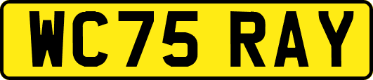 WC75RAY