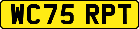 WC75RPT