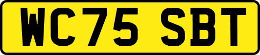 WC75SBT