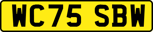 WC75SBW