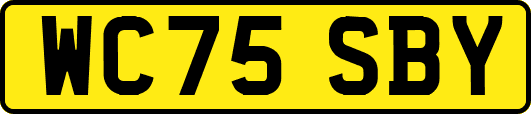 WC75SBY