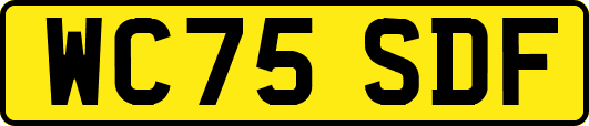 WC75SDF