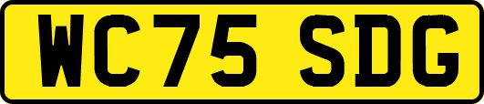 WC75SDG