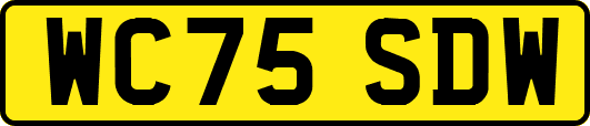 WC75SDW