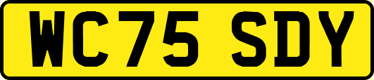 WC75SDY
