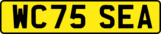 WC75SEA