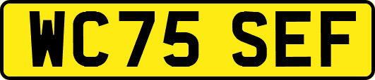WC75SEF