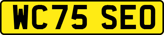 WC75SEO