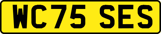 WC75SES