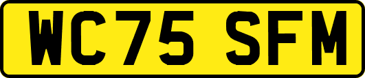 WC75SFM