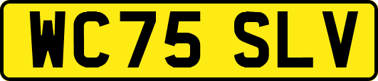 WC75SLV