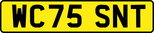 WC75SNT
