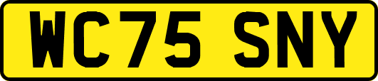 WC75SNY