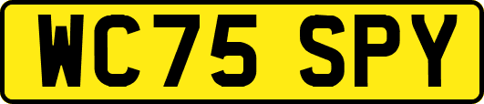 WC75SPY