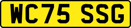 WC75SSG