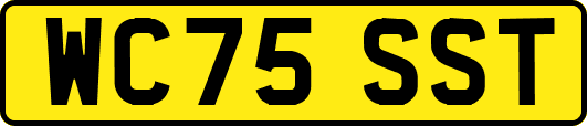 WC75SST
