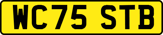 WC75STB