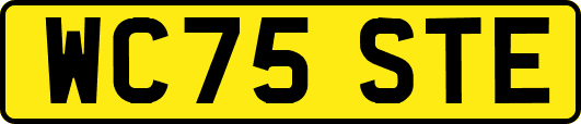 WC75STE