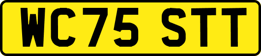 WC75STT