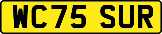 WC75SUR