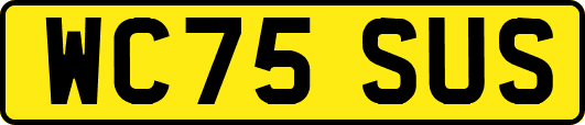 WC75SUS