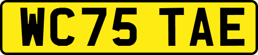 WC75TAE