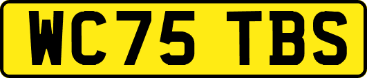 WC75TBS