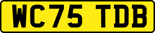 WC75TDB