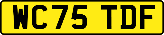 WC75TDF