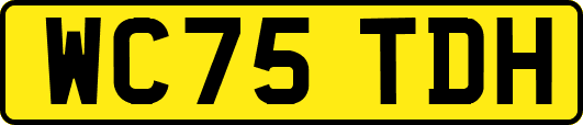WC75TDH