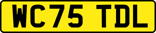 WC75TDL