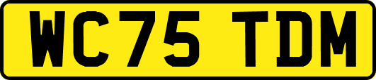 WC75TDM
