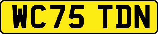 WC75TDN