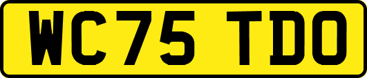 WC75TDO