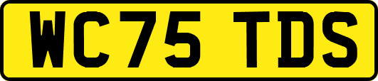 WC75TDS