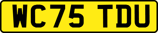 WC75TDU