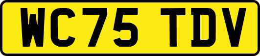 WC75TDV