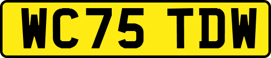 WC75TDW