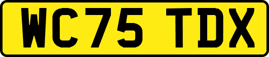 WC75TDX
