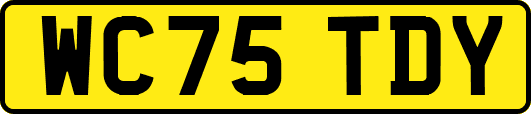 WC75TDY