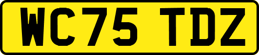 WC75TDZ