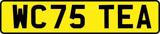 WC75TEA