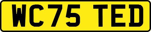 WC75TED