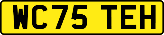 WC75TEH