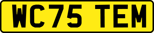 WC75TEM