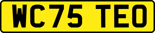 WC75TEO