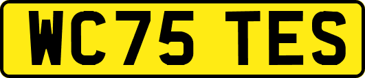 WC75TES