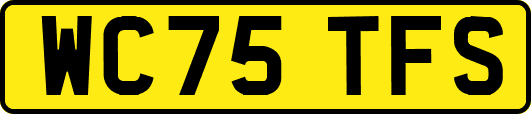 WC75TFS