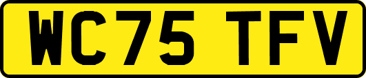 WC75TFV