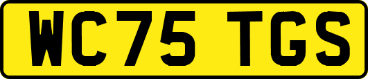 WC75TGS